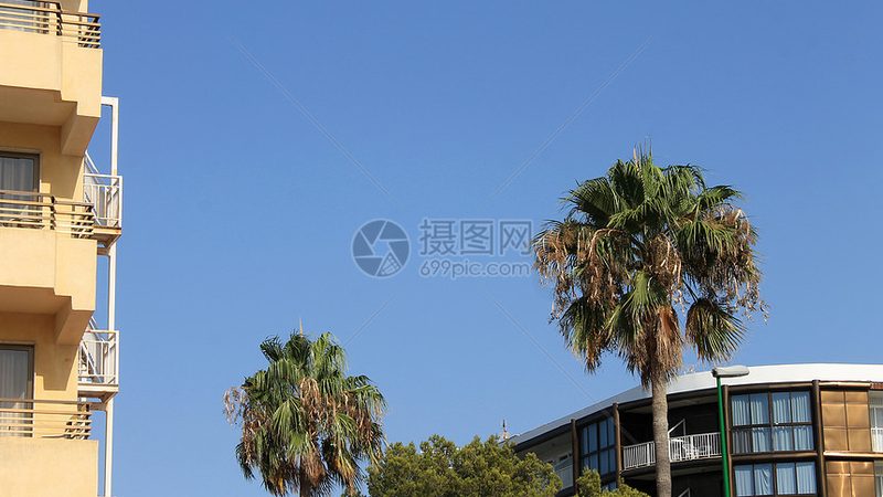 揭秘国内亲子度假村：十大品牌背后的故事与选择要点